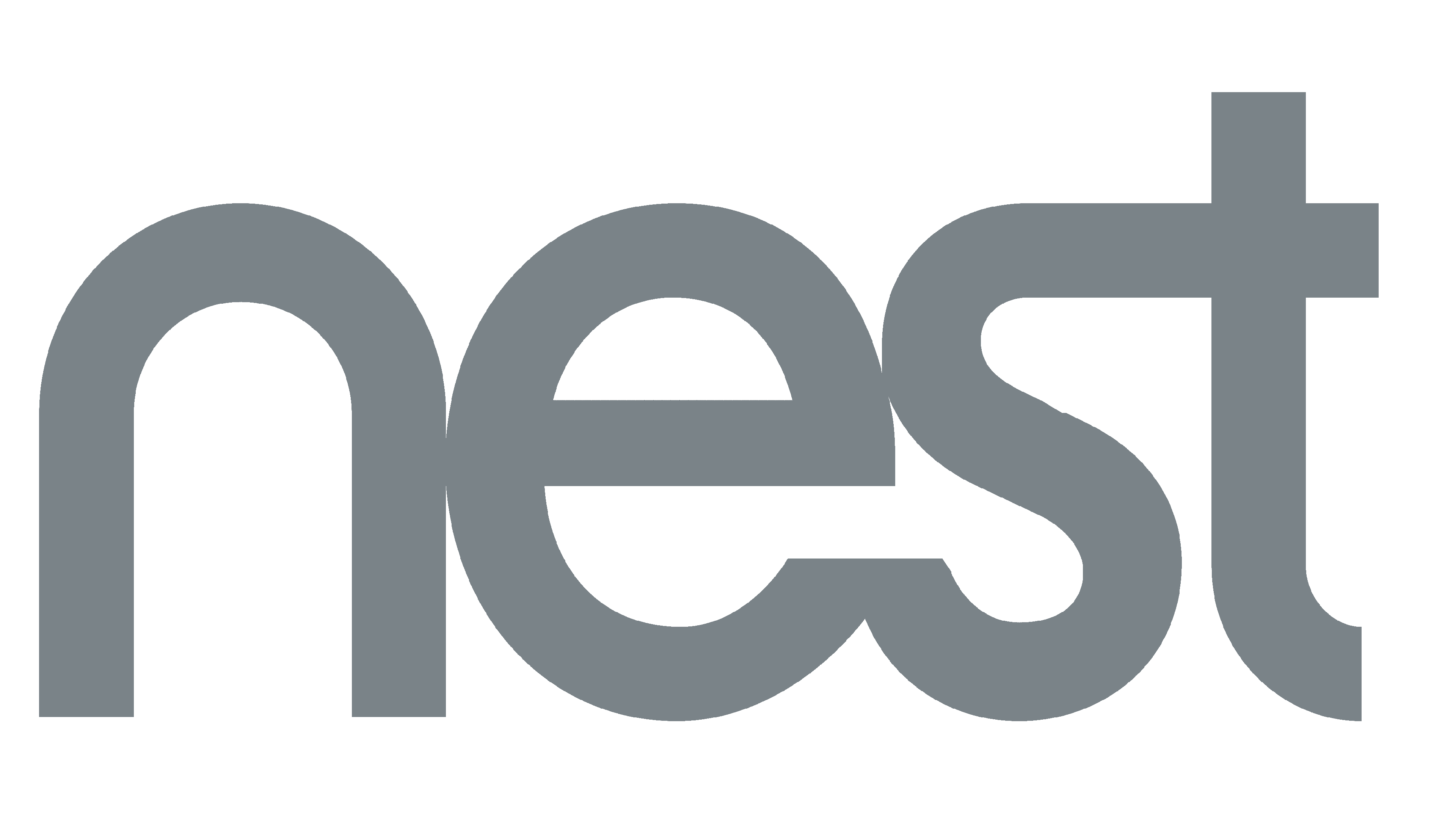 Google Nest